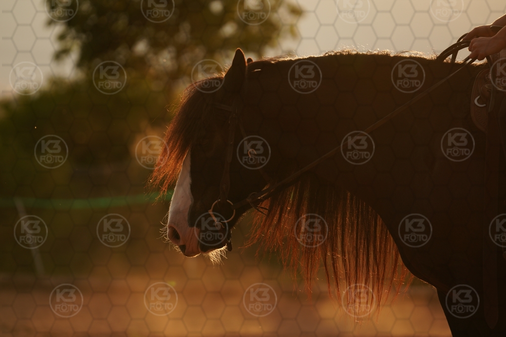 s_A9_03170.jpg